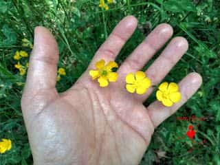 Taller de primavera en la naturaleza.