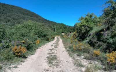 Seguimos avanzando…